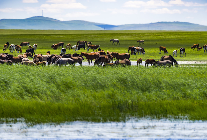 漫步内蒙古，心灵洗礼与灵感之源