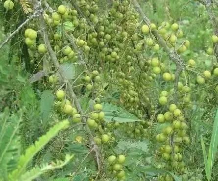 海南，发展与保护的双重挑战与机遇——探寻我的观点之路