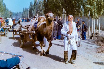 新疆,多元文化交融与民族和谐共融的生动样本